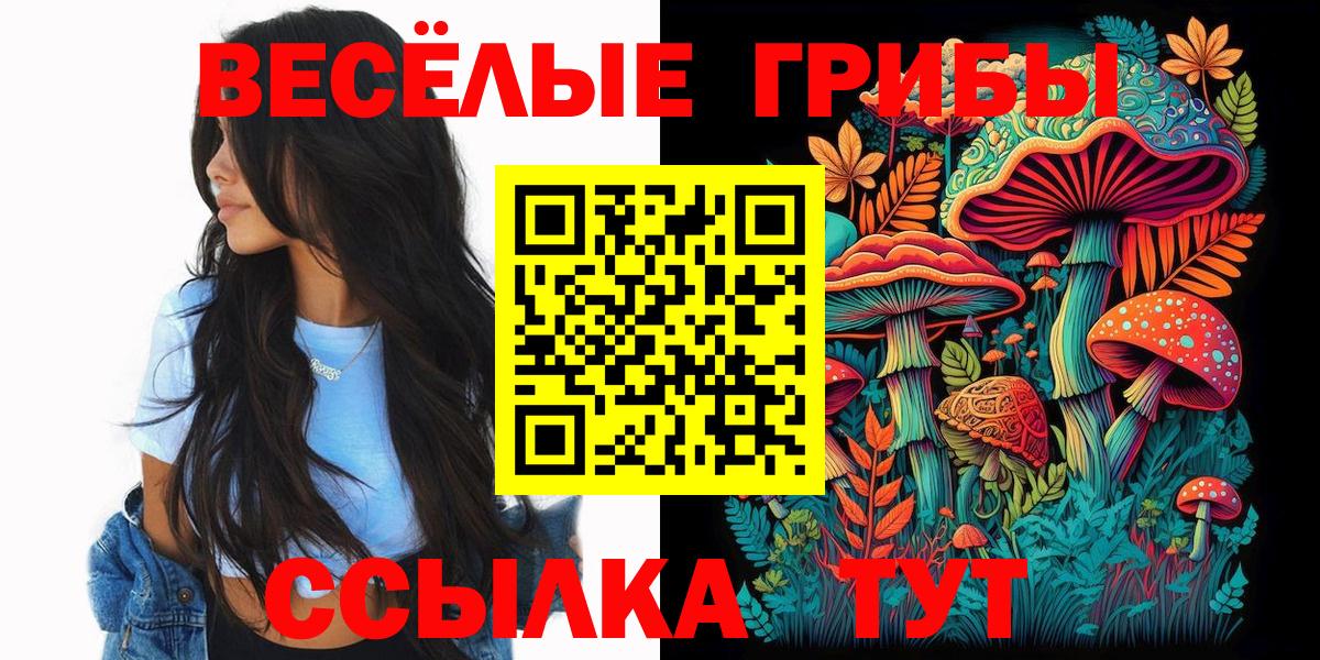 Галлюциногенные грибы мицелий  Вход с VPN  Галлюциногенные грибы GOLDEN TEACHER  Унеча 